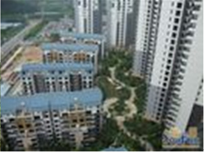 東莞珠佳房地產 專業房地產代理服務，助力投資與登記無憂